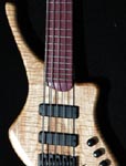 Voir la basse Rmige 017-07